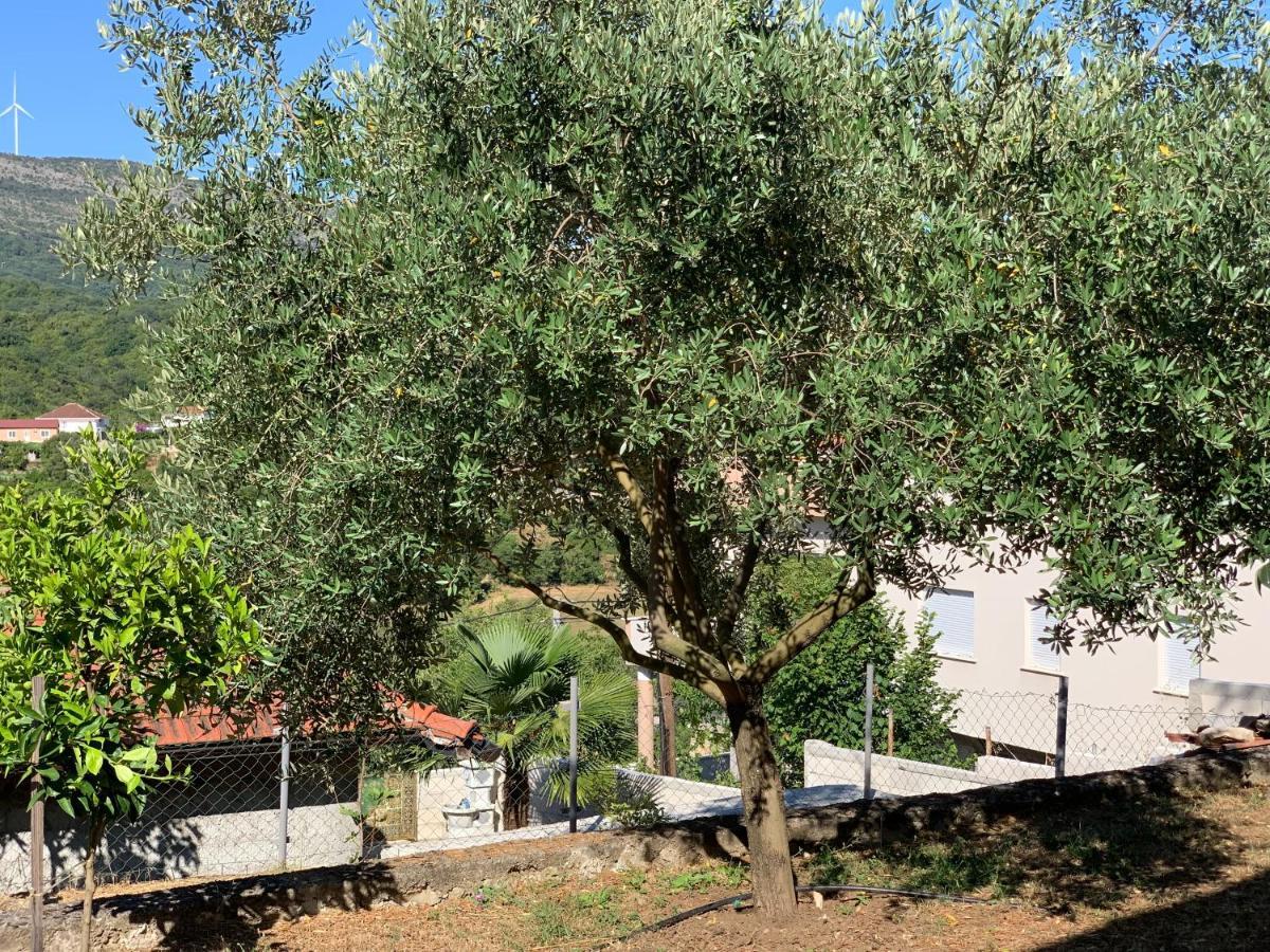 Holiday Home Bratica Улцин Екстериор снимка