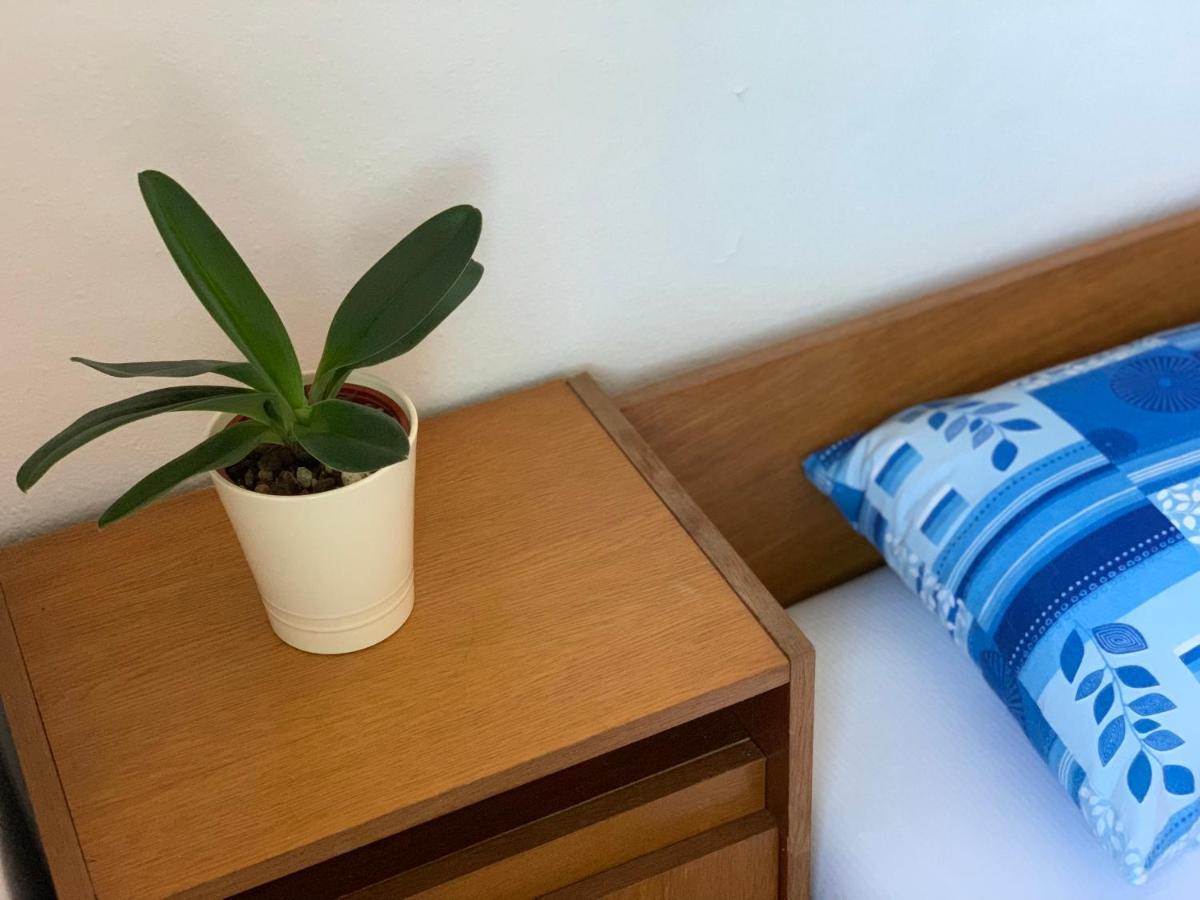 Holiday Home Bratica Улцин Екстериор снимка
